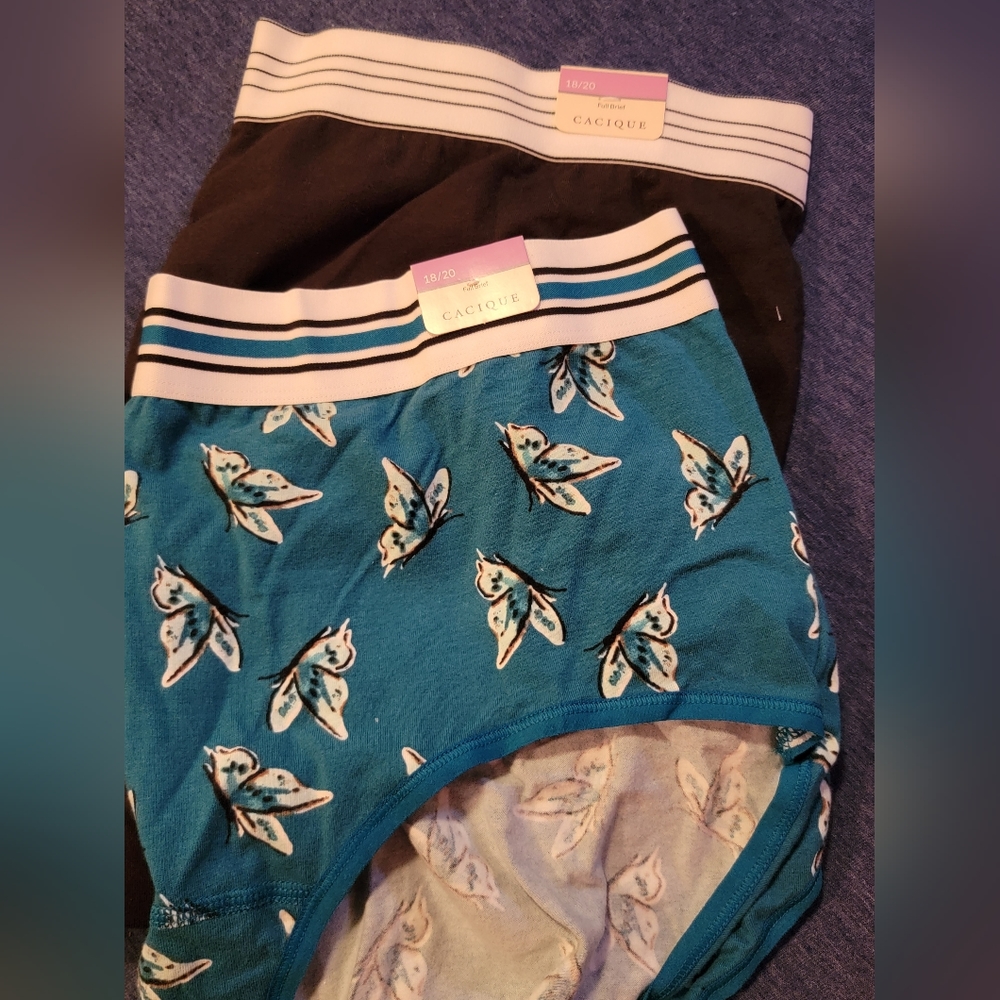NWT Cacique Wide Band Full Brief Lane Bryant Lot 2